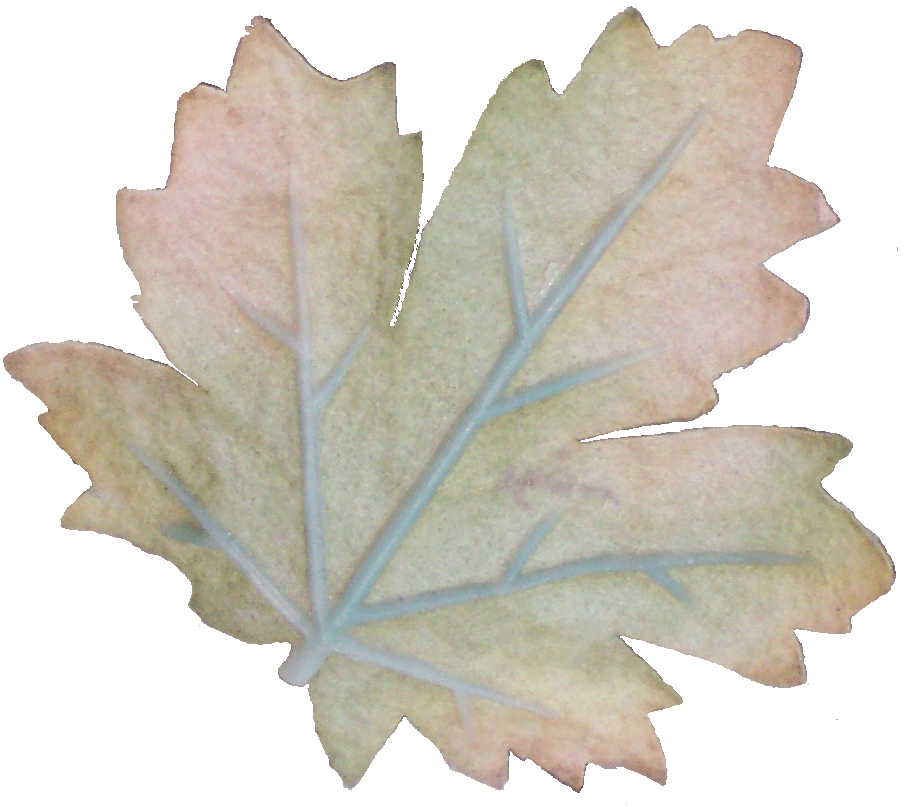 Leaf Logo